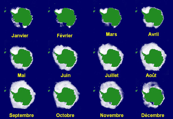 Evolution de la surface de la banquise en Antarctique